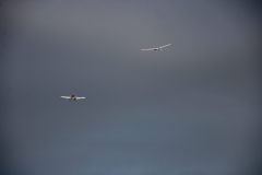 IMG_2952
