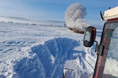 55035526585_91748842f9_c