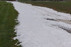 55041286500_f319bb9206_c