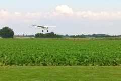 IMG-20260731-WA0005