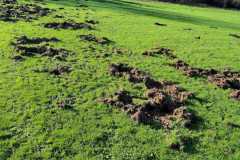 20241129platz-5