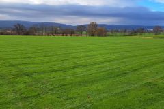 20241202platz-2