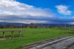 20241202platz-4
