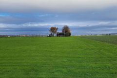 20241202platz-5