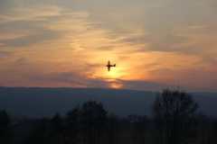 fliegen0903-75
