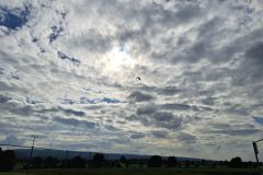 paraglider