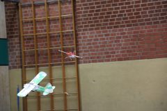 halle17032025-17