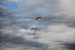 img_9446
