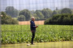 sommer2026-31
